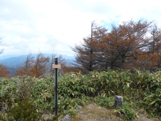 神坂山